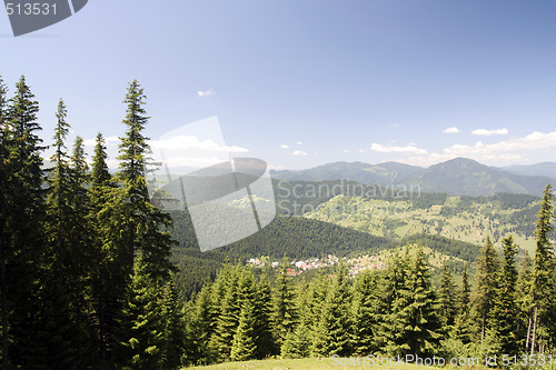 Image of Forest landscape