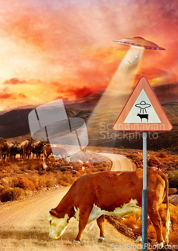 Image of Ufo, spaceship light and cow abduction in countryside for mission, science fiction and fantasy in sky. Spacecraft, field and flying saucer from outer space for invasion, futuristic and mystery