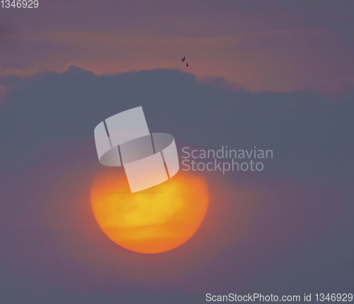 Image of Huge sunrise or sunset sun and birds silhouette 