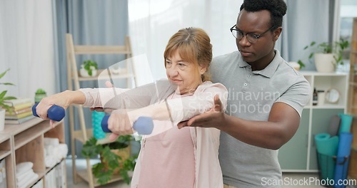 Image of Physiotherapy, arms and senior woman with black man and dumbbell for body assessment. Physical therapy, weightlifting and elderly female with therapist for recovery, training and healing exercise