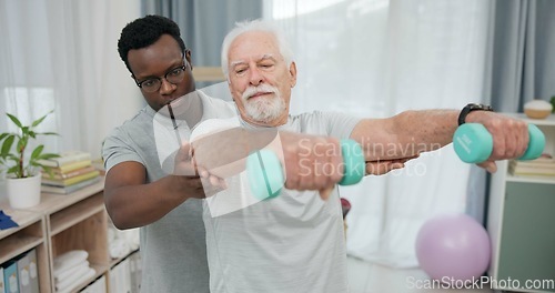 Image of Physiotherapy, dumbbell arm exercise or old man for rehabilitation, recovery and black man support on injury healing. Helping, aid service or African physiotherapist advice elderly patient on workout