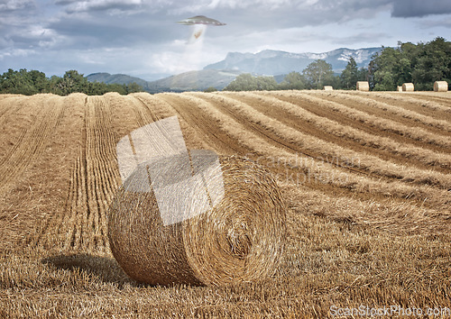 Image of UFO, farm and field with alien spaceship invasion, hay or tractor beam light for research. UAP, flying saucer and interstellar travel in nature, grass or countryside for survey, inspection or flight