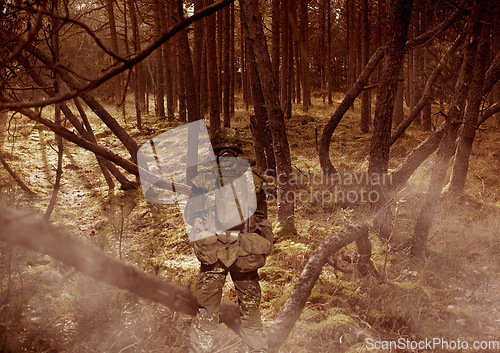 Image of Military, army and soldier in forest with camouflage for mission, service or fight in woods with weapon, uniform and protection. Battlefield, warrior and person in camp for incognito and defence