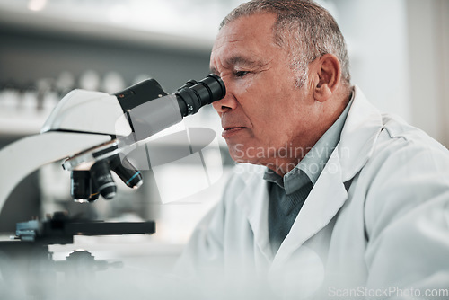 Image of Microscope, senior man and science with research, medical and data analysis with biotechnology. Old person, scientist or researcher with laboratory equipment, check sample and test dna with pathology