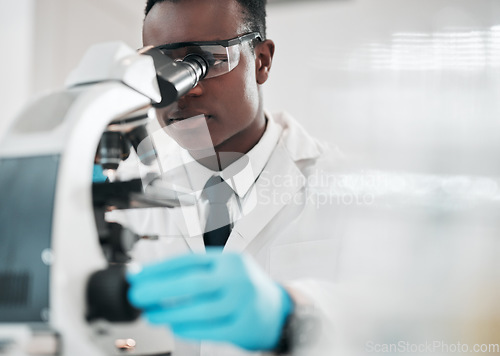 Image of Microscope, black man and chemistry with research, medical and experiment with biotechnology. African person, science and researcher with laboratory equipment, healthcare and check vaccine results