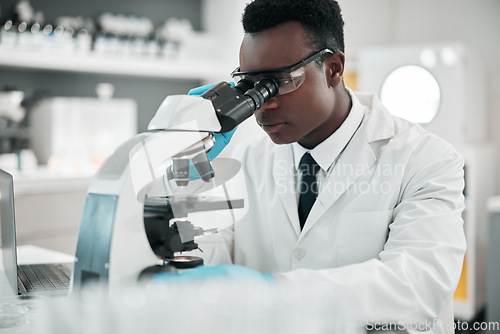 Image of Microscope, black man or biotechnology with research, medical or data analysis with experiment. African person, scientist or researcher with laboratory equipment, testing sample or dna with pathology