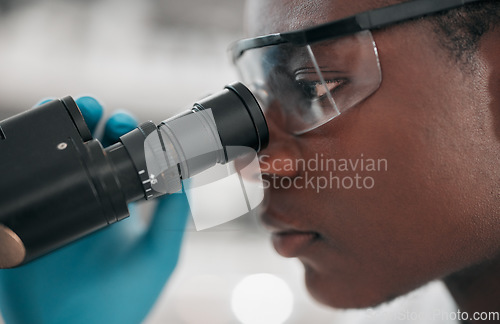 Image of Microscope, black man and healthcare with research, medical and dna test with biotechnology. African person, science and researcher with laboratory equipment, check sample and vaccine with analytics