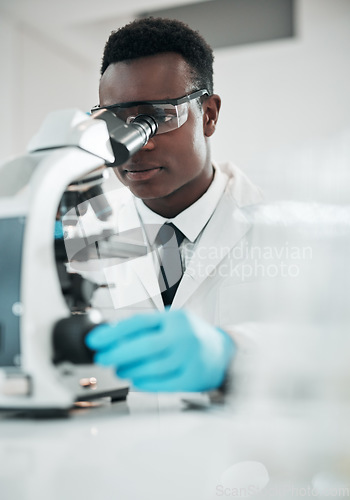 Image of Microscope, black man and analytics with research, medical and experiment for vaccine, test or sample. African person, scientist or researcher with lab equipment, pathology or biotechnology with cure