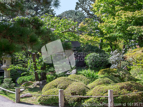 Image of Japanese Tea Garden