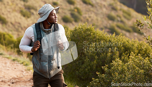 Image of Hiking, thinking or black man in nature, forest or wilderness for trekking journey or adventure for freedom. Bush, holiday or African hiker walking in park or woods for exercise, fitness or wellness