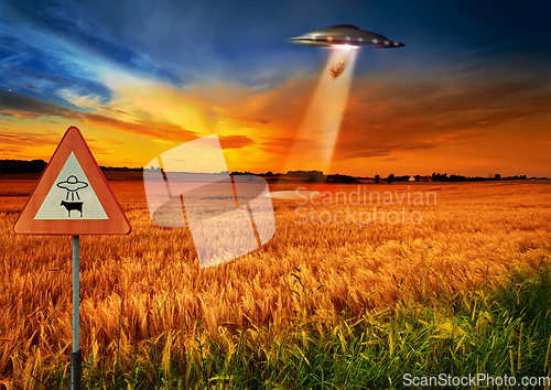 Image of Cow abduction, ufo and spaceship light in countryside for mission, science fiction and fantasy in sky. Spacecraft, field and flying saucer from outer space for invasion, futuristic and mystery