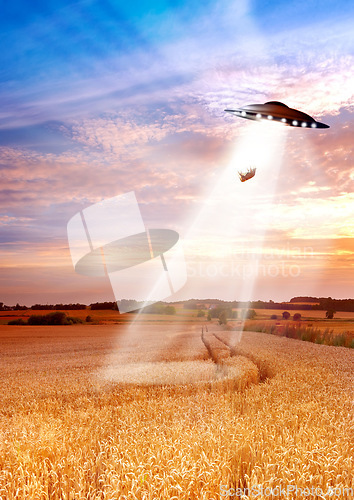 Image of UFO, farm and field with light, alien invasion and research with cow, abduction or transport. UAP ship, flying saucer and tractor beam in nature, grass or countryside for survey, inspection or flight