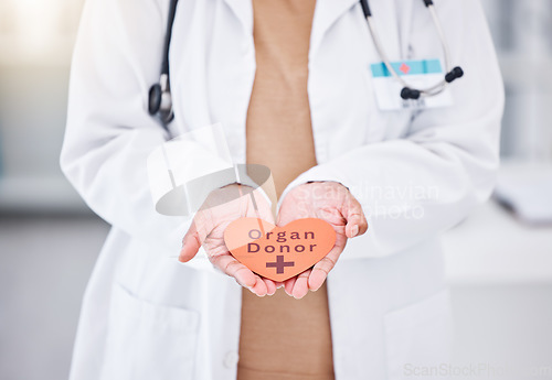 Image of Organ donor, doctor and hands with heart sign for medical service, donation and transplant charity. Healthcare, hospital and health worker with emoji, shape and icon for help, support and medicine