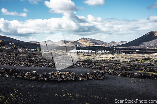 Image of Traditional white houses in black volcanic landscape of La Geria wine growing region with view of Timanfaya National Park in Lanzarote. Touristic attraction in Lanzarote island, Canary Islands, Spain.