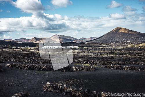 Image of Traditional white houses in black volcanic landscape of La Geria wine growing region with view of Timanfaya National Park in Lanzarote. Touristic attraction in Lanzarote island, Canary Islands, Spain.