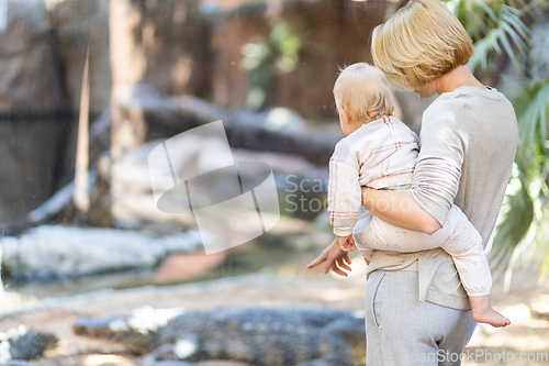 Image of Caucasian blonde mother holding her infant baby boy child in her lap watching crocodile in zoo. Happy family having fun with animals safari park on warm summer day