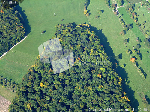 Image of Aerial view of a german forest