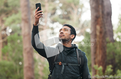 Image of Phone, connection and man lost in nature for hiking, trekking and exercise in woods. Fitness, travel and person on smartphone with no signal for GPS, online location and digital map on adventure