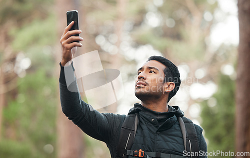 Image of Phone, connection and man in nature for hiking, trekking and exercise in woods. Fitness, travel and person on smartphone lost with no signal for GPS, online location and digital map on adventure