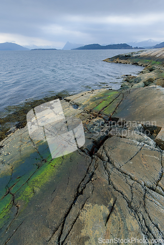 Image of green algae growth on rocks by the sea