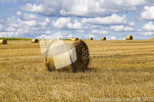 Image of agricultural field