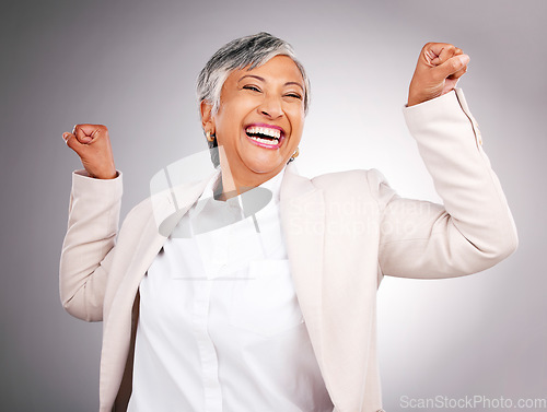 Image of Flex, studio and portrait of business woman for success, leadership and empowerment. Success, corporate and face of mature person show muscles for power, strength and confidence on gray background