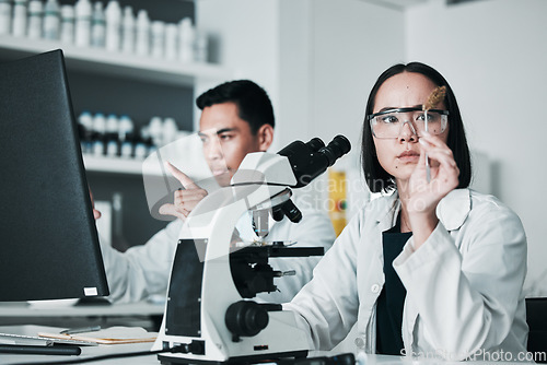 Image of Scientist, woman and analysis of cannabis in laboratory for science study, marijuana review or medical research. Cbd, person and weed bud check for scientific experiment with microscope and focus