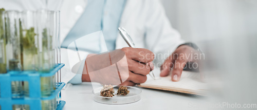 Image of Science, cannabis research and man writing notes in laboratory, cbd and marijuana for medical innovation. Weed, lab analytics and 420, scientist with pharmaceutical study in plants and agriculture.