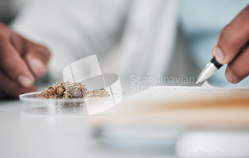 Image of Petri dish, hand and scientist writing for plant and ecology research in a lab for analysis. Science work, notes and laboratory worker and person with paperwork, medical report and test for grass