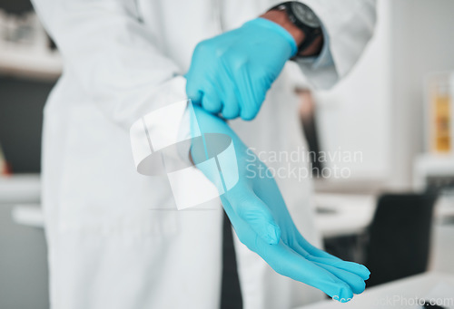 Image of Hands, science and gloves for safety with a person in a laboratory for research or innovation closeup. Healthcare, medical and a scientist in a lab for analysis, development or discovery in medicine