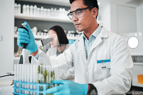 Image of Science, research and man with test tube in biotech laboratory, solution for vaccine or medical innovation. Healthcare, lab analytics and medicine, scientist with pharmaceutical sample in container.