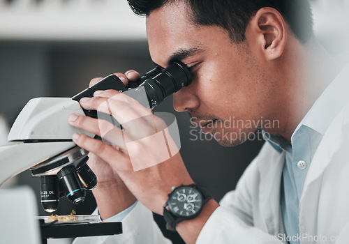 Image of Scientist, man and microscope for science research, data analysis and DNA investigation with laboratory technology. Professional doctor or medical expert with lens check for particles inspection