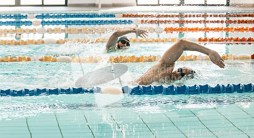 Image of Workout, sports and a swimmer in a pool during a race, competition or cardio training at a gym. Exercise, water and fitness with an athlete swimming to improve speed, health or freestyle performance