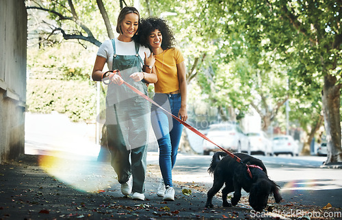 Image of Love, bonding and lesbian couple walking with dog in city street for exercise, adventure and fun. Lgbtq, animal and interracial young gay women in town road with pet puppy for fresh air together.