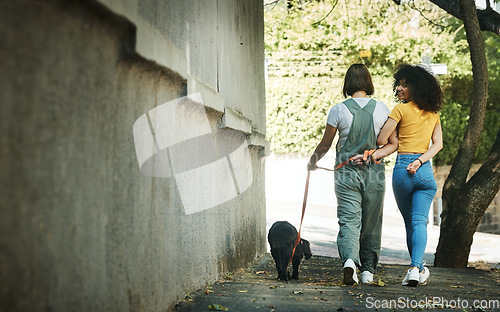 Image of Women, walking and couple with a dog in street, park or portrait outdoor in spring with pet on lead and wall mockup space. People, smile and journey with animal for exercise, wellness or happiness