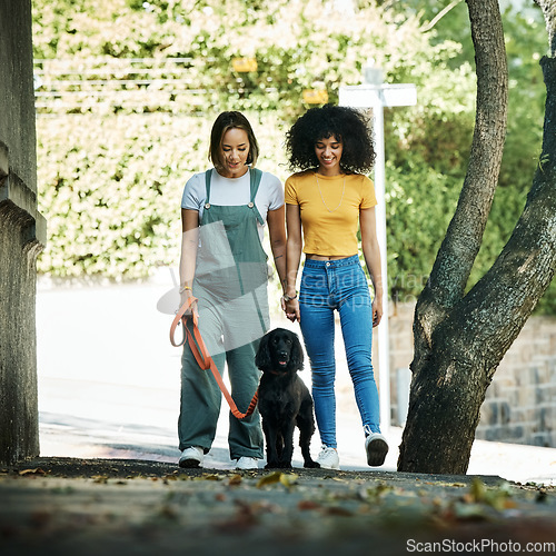 Image of Love, holding hands and lesbian couple walking with dog in city street for exercise, bonding and fun. Lgbtq, animal and interracial young gay women in town road with pet puppy for fresh air together.