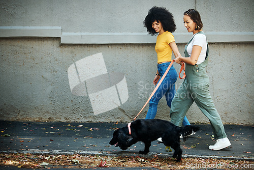 Image of Love, happy and lesbian couple walking with dog in city street for exercise, bonding and fun. Lgbtq, animal and interracial young gay women in urban town road with pet puppy for fresh air together.