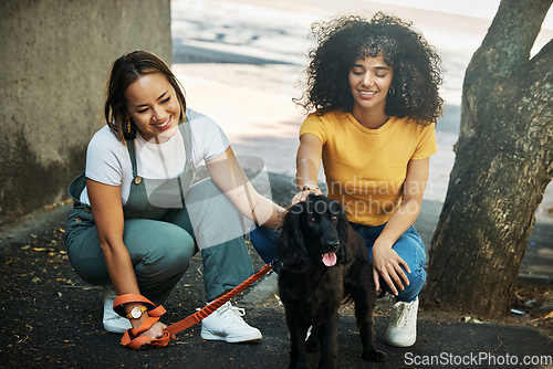Image of Love, smile and a lesbian couple walking their dog together outdoor in the city for training or exercise. LGBT, health and a happy woman with her girlfriend to teach their pet animal on a leash