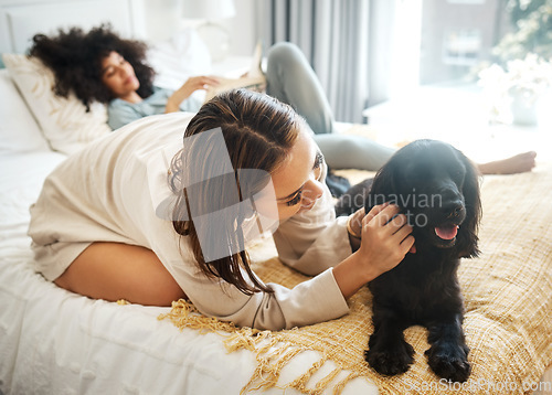 Image of Dog, bedroom and lesbian couple playing in home, morning and relax together in house. Pet, bed and gay women with animal, bonding and having fun in healthy relationship, love connection and care.