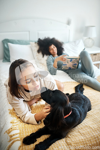 Image of Lgbt, relax and lesbian couple on a bed with their dog happy, playing and bonding at home together. Puppy, love and asian woman with cocker spaniel pet in a bedroom chilling with weekend freedom