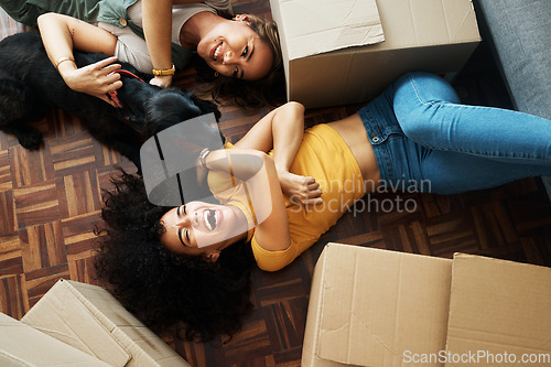 Image of Moving, boxes and couple with a dog in new home, living room or women relax together on floor bonding with puppy or pet. Girl, laughing and happiness in house with people, love and animal from above