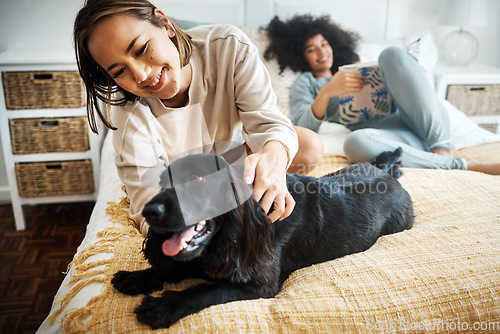 Image of Pet, bed and happy lesbian couple play in home, morning and relax together in house. Dog, bedroom and gay women with animal, bonding and having fun in healthy relationship, lgbtq connection and care