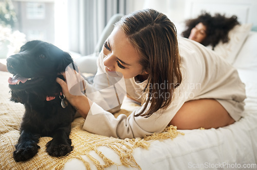 Image of Dog, bed and happy lesbian couple play in home, morning and relax together in house. Pet, bedroom and gay women with animal, bonding and having fun in healthy relationship, love connection and care