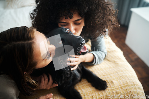 Image of Love, women and dog with kiss on bed in bedroom of family home for fur puppy, pet and happiness indoor. Labrador, animal and people together in room with cuddling and care for bonding and loyalty