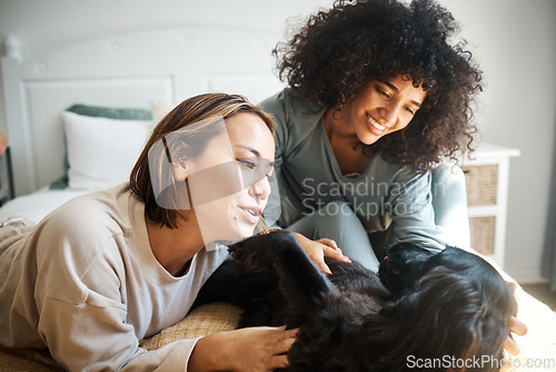 Image of Dog, bed and happy lesbian couple play in home, morning and relax together. Pet, bedroom and gay women smile with animal, bonding and having fun in healthy relationship, connection and interracial