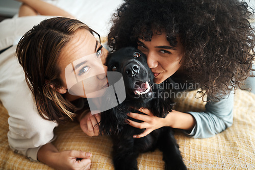 Image of Portrait, women and dog with kiss on sofa in living room of home for puppy, love and happiness indoor. Labrador, animal and people together on couch with cuddling and care for bonding and loyalty