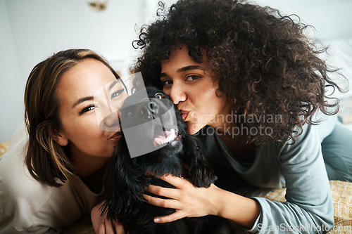 Image of Women, portrait and dog with kiss on sofa in living room of home for puppy, love and happiness indoor. Cocker spaniel, animal and people together on couch with cuddling and care for bond and loyalty