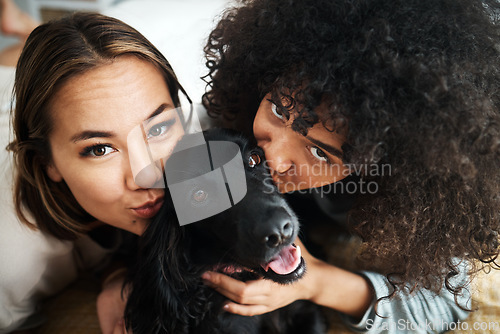 Image of Dog, portrait and women with kiss on sofa in living room of home for puppy, love and happiness indoor. Labrador, animal and people together on couch with cuddling and care for bonding and loyalty