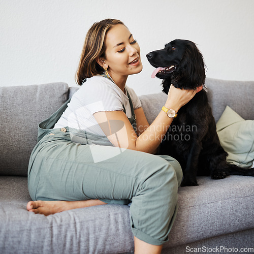 Image of Happy, love and woman with dog in home sofa to relax and play with animal. Pet owner, care and asian person on couch with companion, smile and wellness or friendship and together in cozy apartment