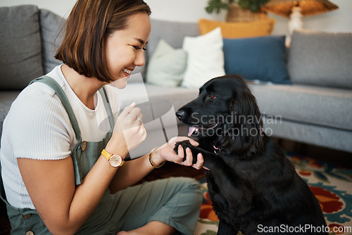Image of Love, paw and woman with dog in home lounge to relax and play with animal. Pet owner, happiness and asian person on floor for training companion, care and wellness or friendship in cozy apartment